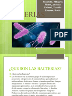 Bacterias PP