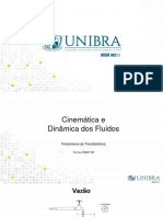 Aula - Dinâmica e Cinemática Dos Fluidos