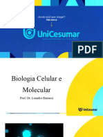 Aula 5 Biologia Celular