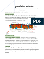 Aula 2 Biologia Celular e Molecular