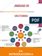 Vectores