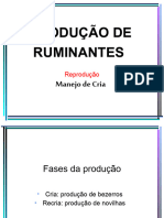 Produção de Ruminantes