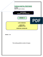 2023 Grade 11 June Marking Guideline-Final