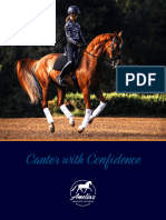 The Canter Guide Amelia Newcomb Dressage