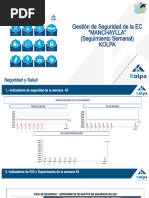 Seguridad 49