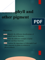 Chlorophyll and Other Pigment (Final Presentation) pt.2