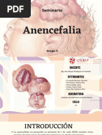 Seminario Anencefalia - Grupo 5 - RN