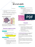 Glomerulopatias