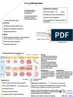 5 - Fecundación, Embriogénesis y Clonación