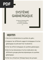 Système Gabaergique 2023