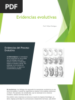 Evidencias Evolutivas