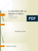 Citologia de La Medula Osea.....