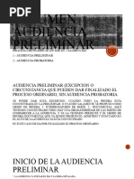 Resumen Audiencia Preliminar