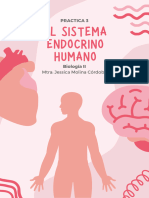 Práctica 3 Biología