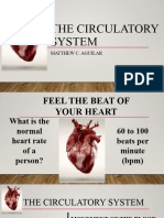 9 - Circulatory System