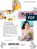 Plan Detox