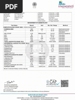 Blood Report