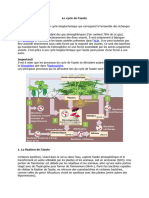 Le Cycle de L'azote