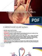 Histology Lecture 4 - Cardiovascular System