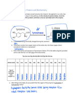 Signature Assignment 3 Enzymes