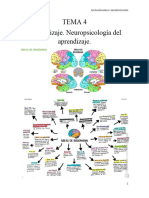 Tema 4 Psicología Básica