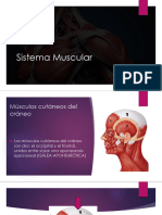 Clase Musculos Cara y Cuello PDF