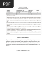 Guía 3° Habitos Alimenticios Sanos 3º Basico