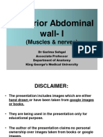 Posterior Abdominal Wall