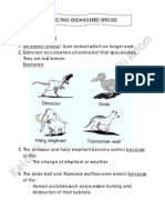 Science Year 6 (Chapter 1) - Protecting Endangered Species