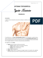 Região Torácica - Anatomia Topográfica