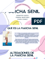 Marcha Senil