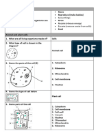 Year 7 Cells