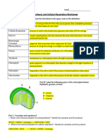 HANDOUT - KEY Photosynthesis and Cellular Respiration Review Sheet 2017