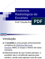 Anatomia de Radiolgica - Encfalo e TC RM