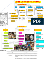 4bases Sociales de La Conducta Humana