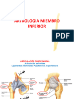 Clase Artrologia Miembro Inferior