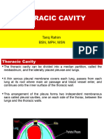 Thoracic Cavity