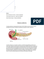 Sistema Endócrino