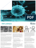 South Africa INFLUENZA