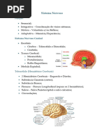 Sistema Nervoso