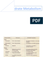 2 Carbohydrate Metabolism - 1