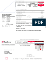 Xcel Energy Bill