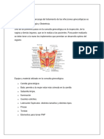 Enfermedades Ginecologicas