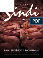 Revista Sindi - Edição - 23.02 SD