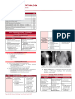 GPT Megatrans Exam 3