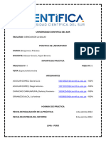 Informe 1 Bioquiimica 2024