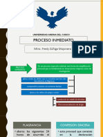 PROCESO INMEDIATO Diapos Juntadas