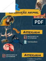 Reprodução Animal