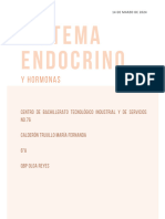 Sistema Endocrino