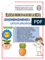 Plantas Medicinales de La Selva